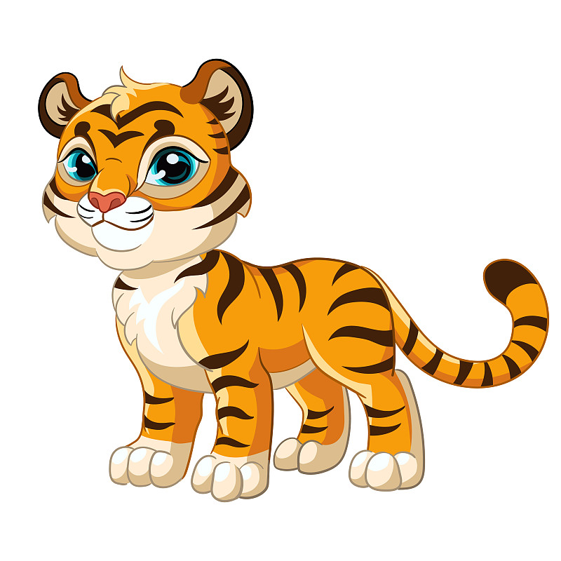 老虎在白色的背景矢量插图图片素材