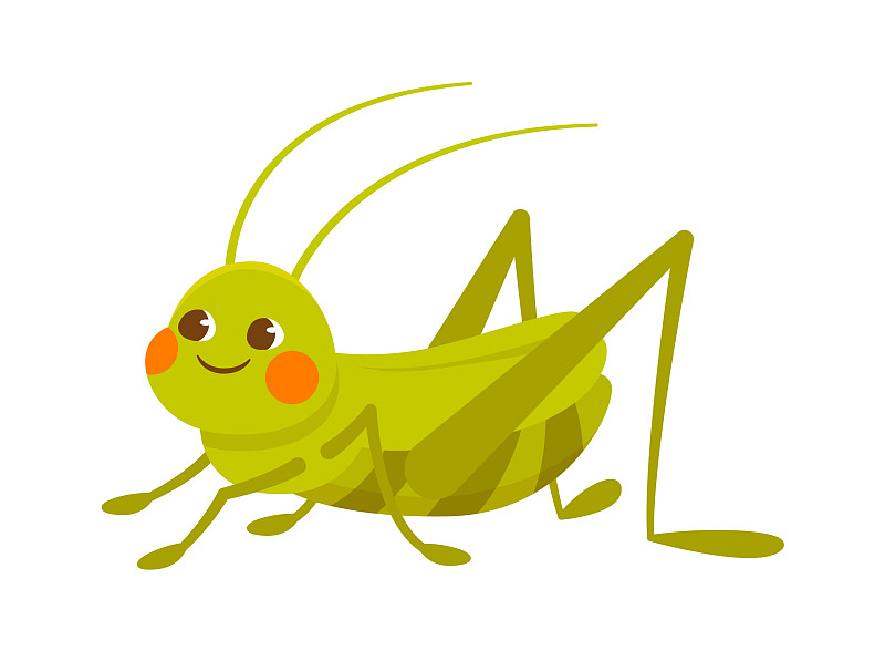 卡通可爱的绿蟋蟀孤立图片素材