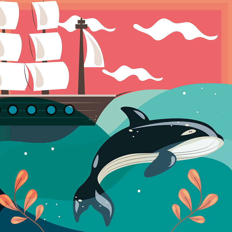 虎鲸和帆船插画图片