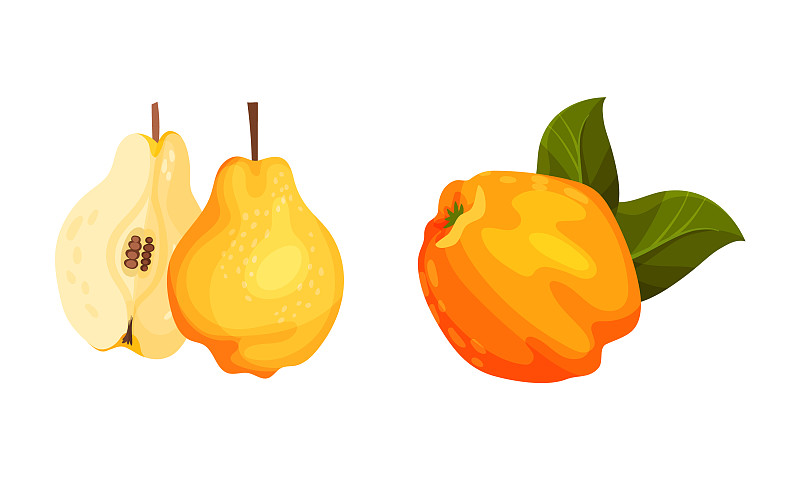 新鲜成熟的木瓜集多汁的有机水果整体插画图片