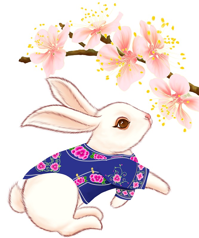 2023年兔年月份兔可爱白兔月历插图图片下载