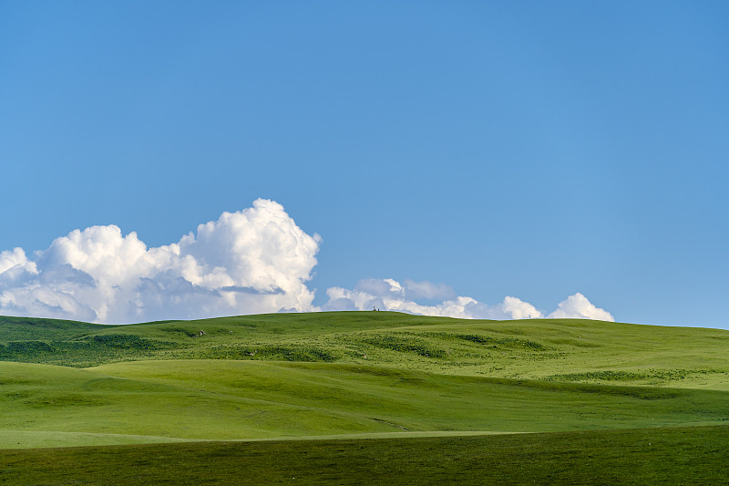 蓝天白云下的巴音布鲁克草原风光图片下载