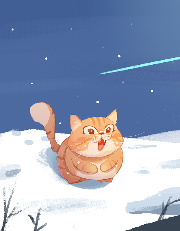 雪天小猫图片下载