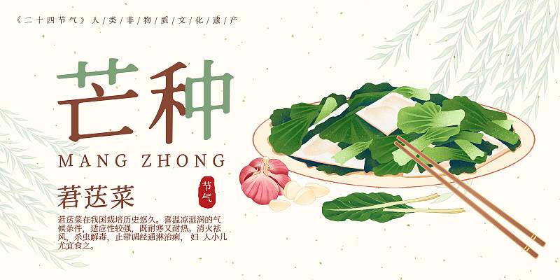 二十四节气芒种美食莙荙菜插画模板海报下载