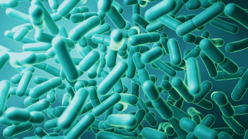 微观生物细菌背景3D渲染插画下载