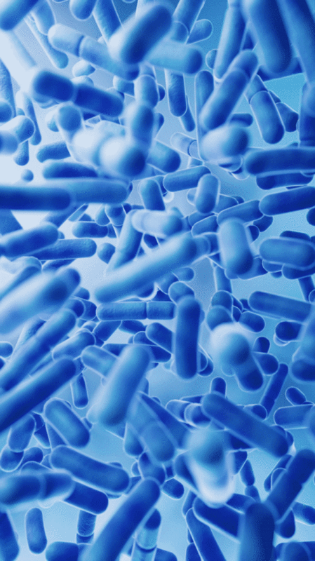 微观生物细菌背景3D渲染图片下载