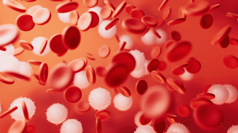 微观血液细胞3D渲染插画下载