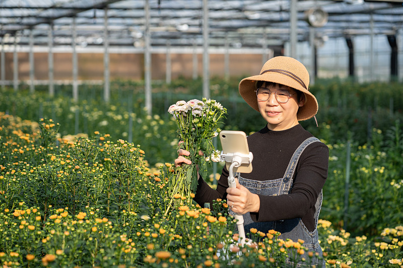 种植小雏菊的温室里直播的女电商图片下载
