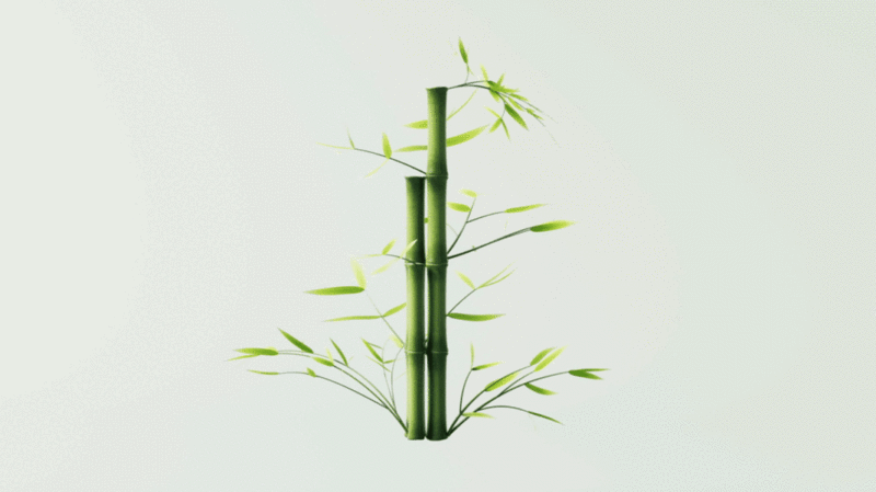 绿色竹子和竹叶循环动画3D渲染图片下载