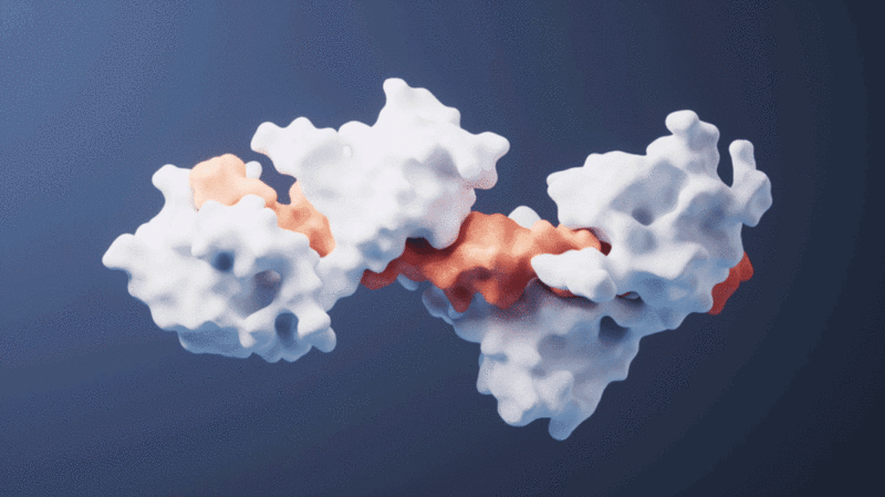 生物科技蛋白质分子结构循环动画3D渲染图片下载