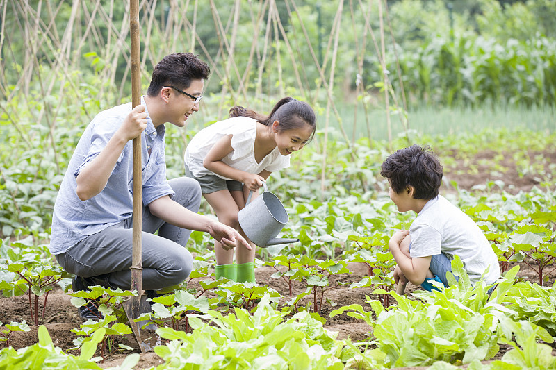 年轻父亲和孩子们在菜园劳动图片下载
