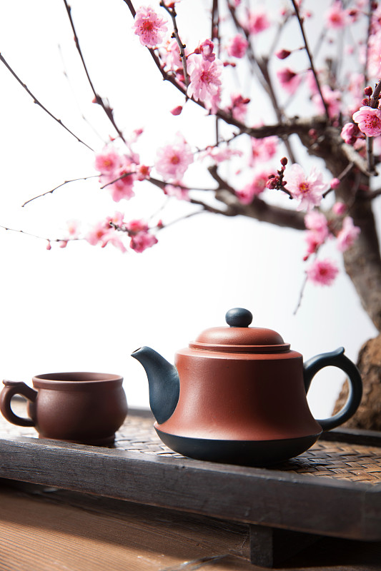 茶壶梅花图片素材