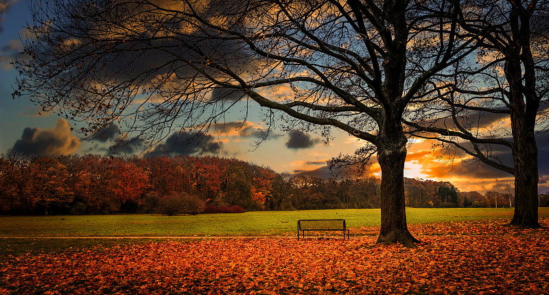 秋天，科隆的一个公园图片下载