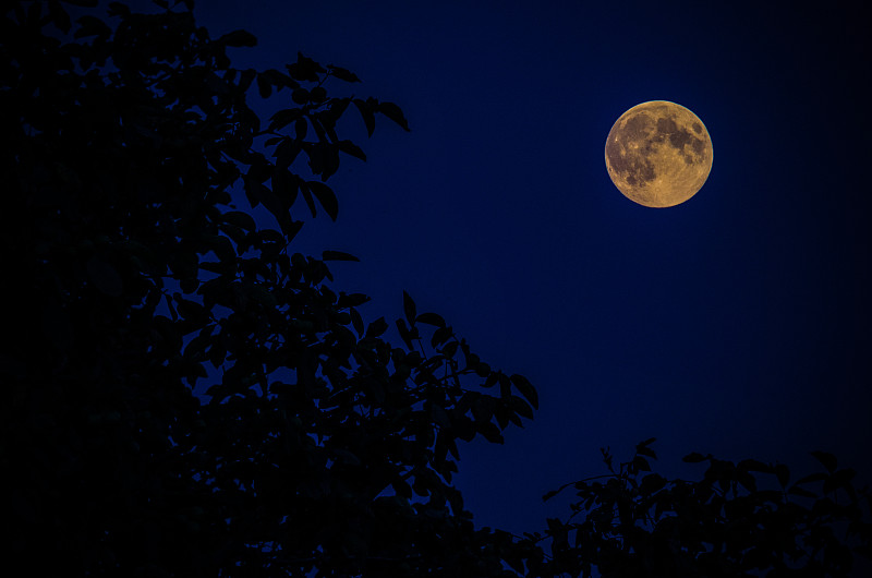 月圆图片真实夜晚图片