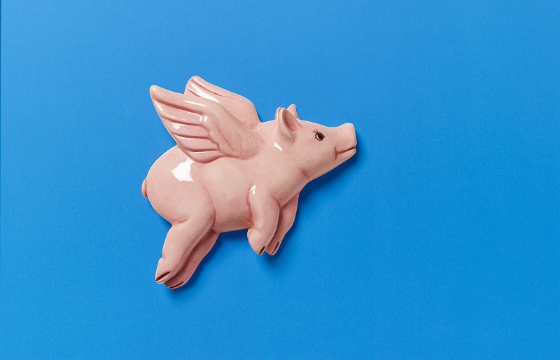 飞翔的中国猪在蓝色的背景图片下载