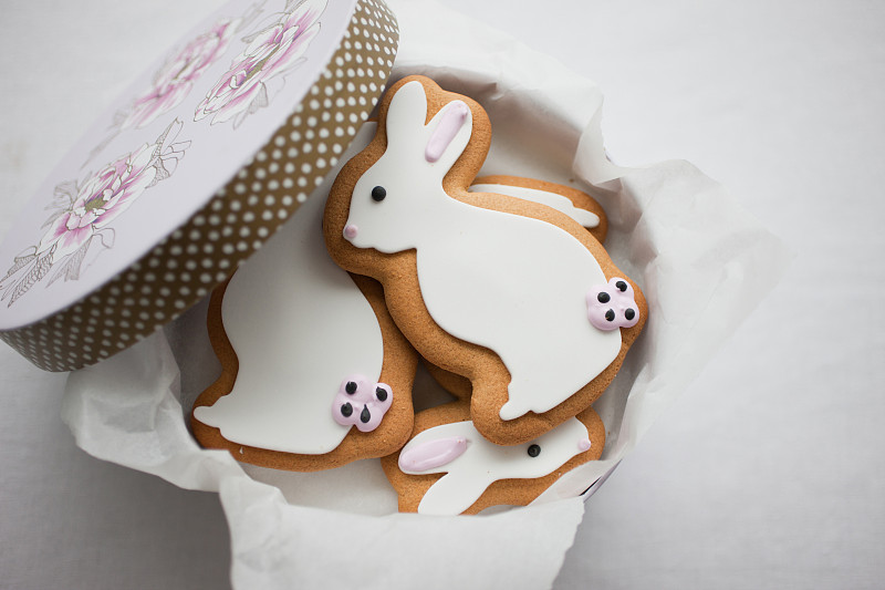 复活节兔子饼干在圆盒子图片下载