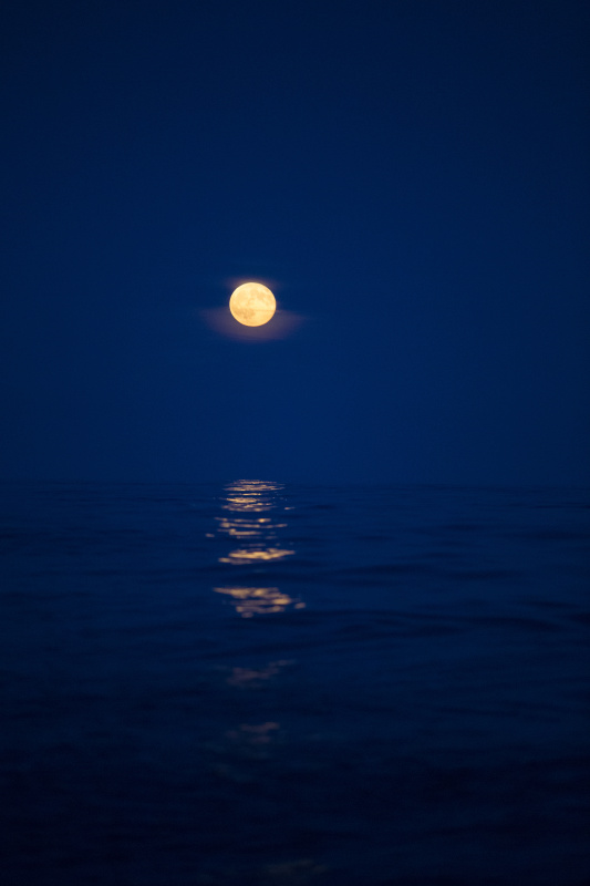 月亮正从北海升起图片下载