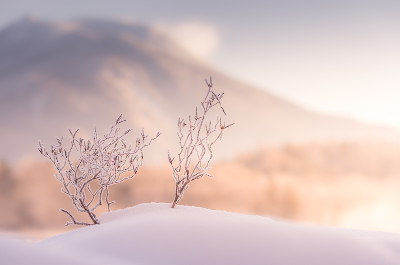 阿肯湖的冬季氛围图片素材