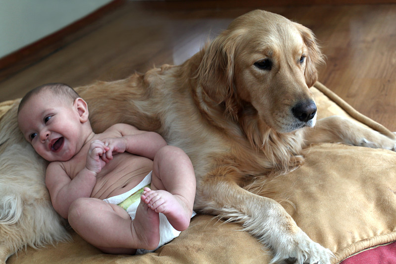 小男孩和他的狗坐在枕头上。图片下载