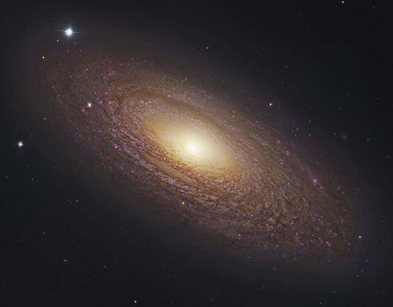 ngc2841，大熊星座的旋涡星系。图片下载