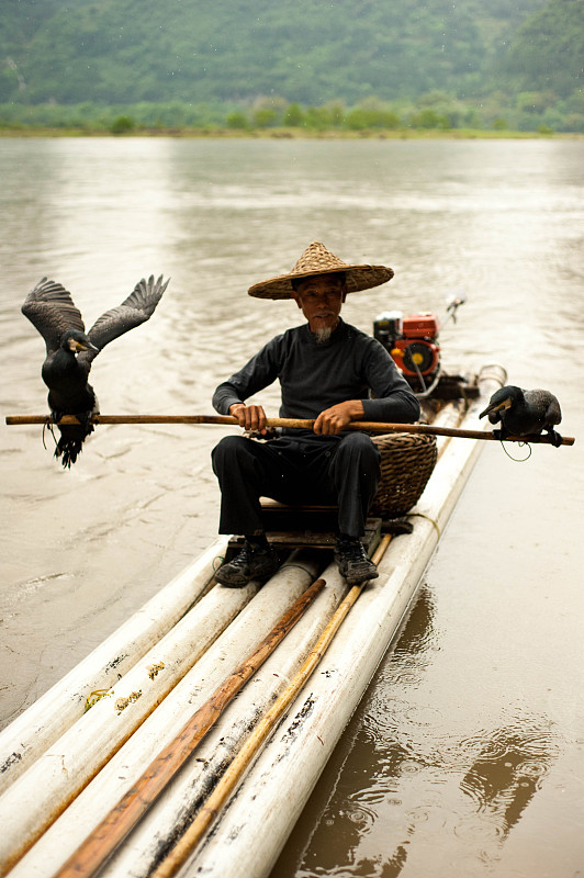 鸬鹚渔民坐在河上的木筏上图片下载