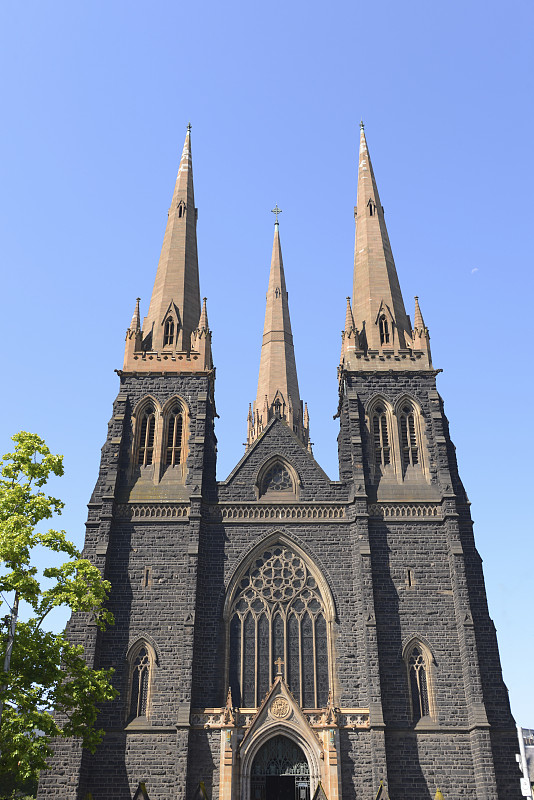 澳大利亚墨尔本的圣帕特里克大教堂图片下载