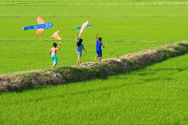 亚洲的孩子们在绿色稻田的小路上玩风筝图片下载
