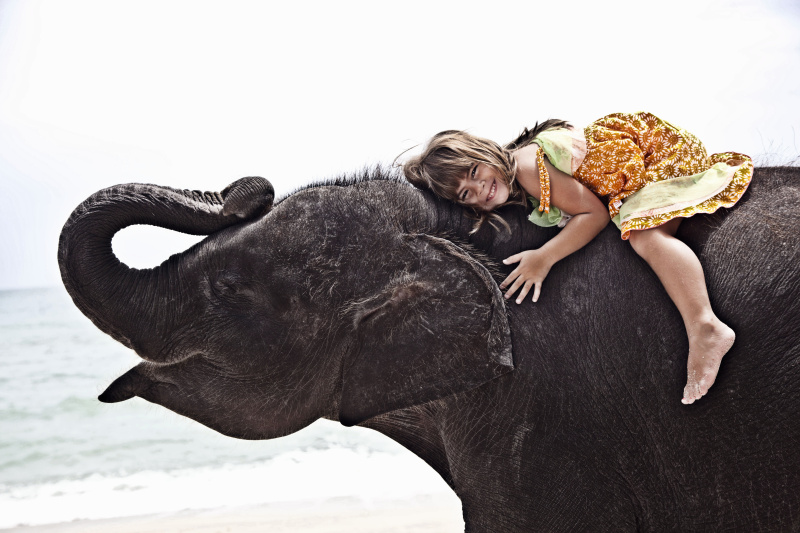 5岁女孩骑小象图片下载