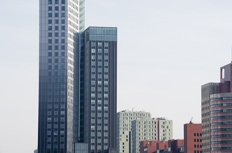 荷兰，鹿特丹，现代建筑图片下载