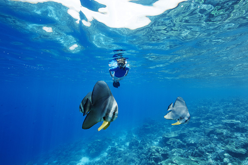 马尔代夫，鱼和女人在印度洋浮潜图片下载