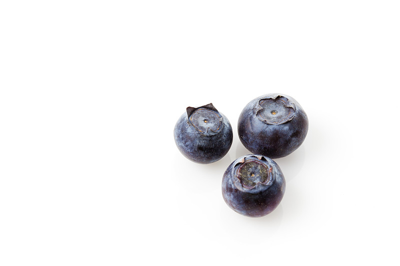 蓝莓,Vaccinium myrtillus图片下载