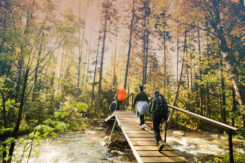背包客在森林里的桥上徒步旅行图片下载