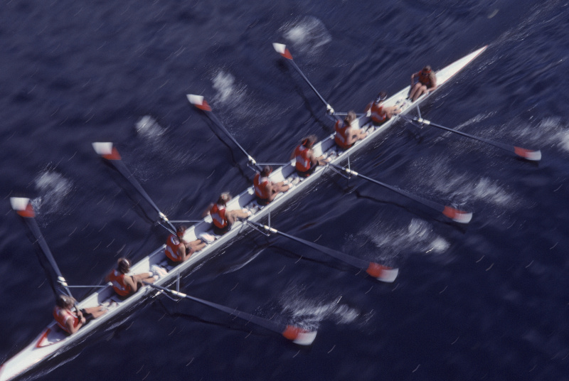 8 .女子划船比赛。图片下载