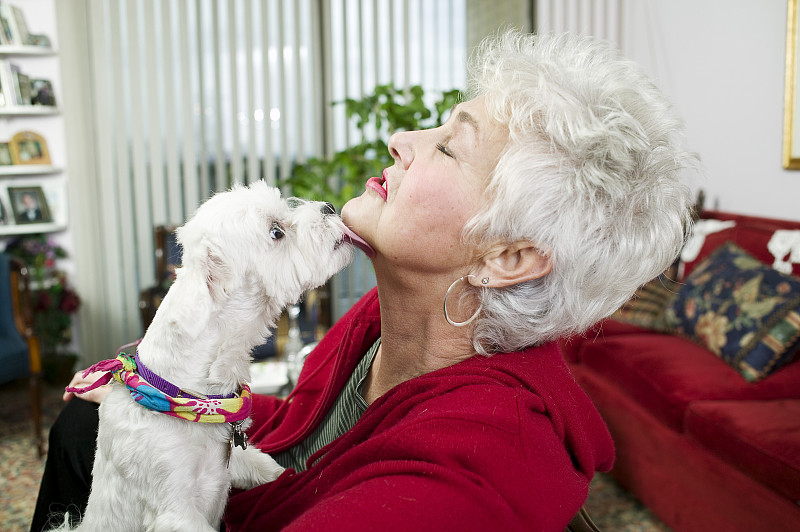 狗舔年长女性的下巴图片素材
