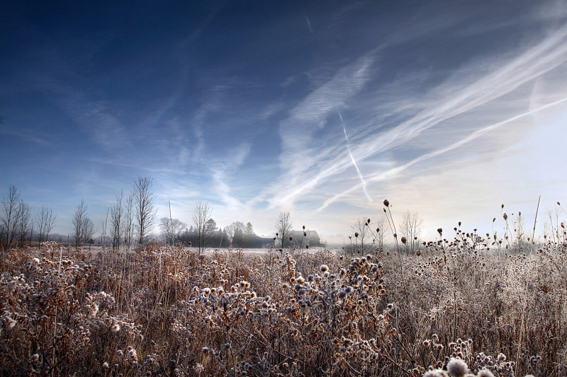 卡莱尔附近田野上的早霜图片下载