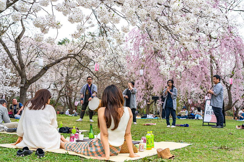 广崎公园樱花节图片下载