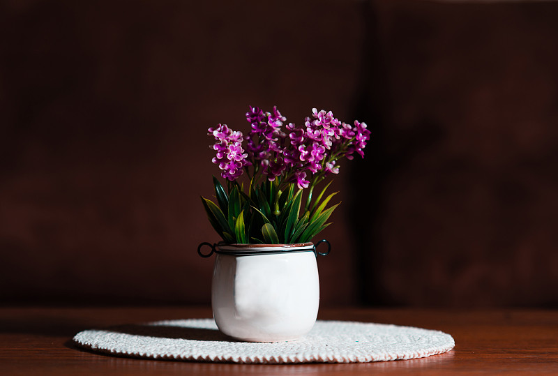 桌子上的花盆的特写图片素材
