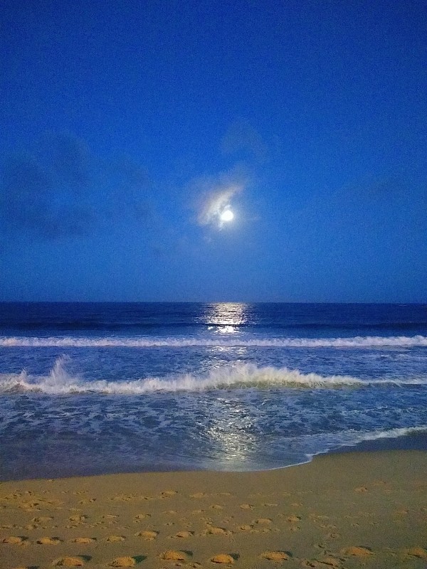 海滩上的月亮图片下载