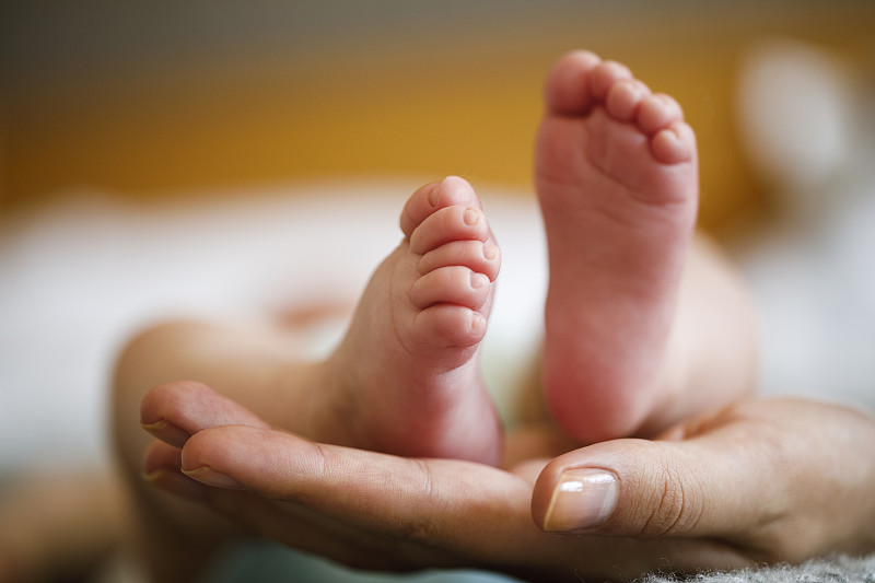 新生婴儿的脚在母亲的手中图片下载