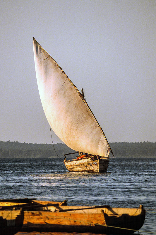 桑给巴尔，印度洋上的货运三角帆船图片下载