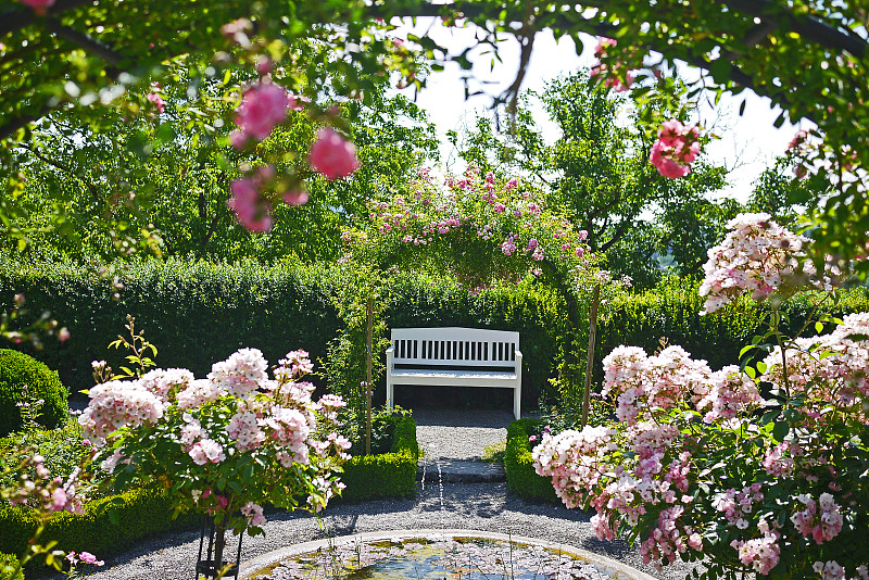 玫瑰花园，白色长凳图片下载