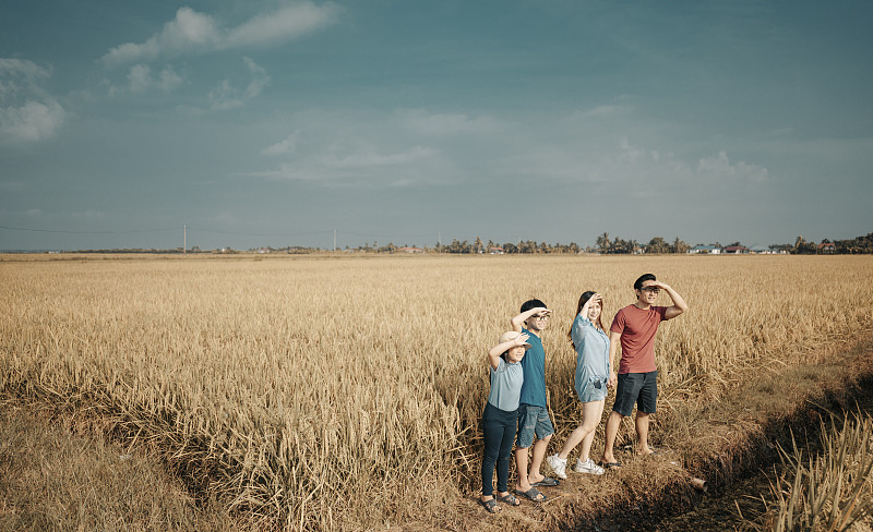 周末早上，一个亚洲华人家庭在稻田里度过闲暇时光图片素材
