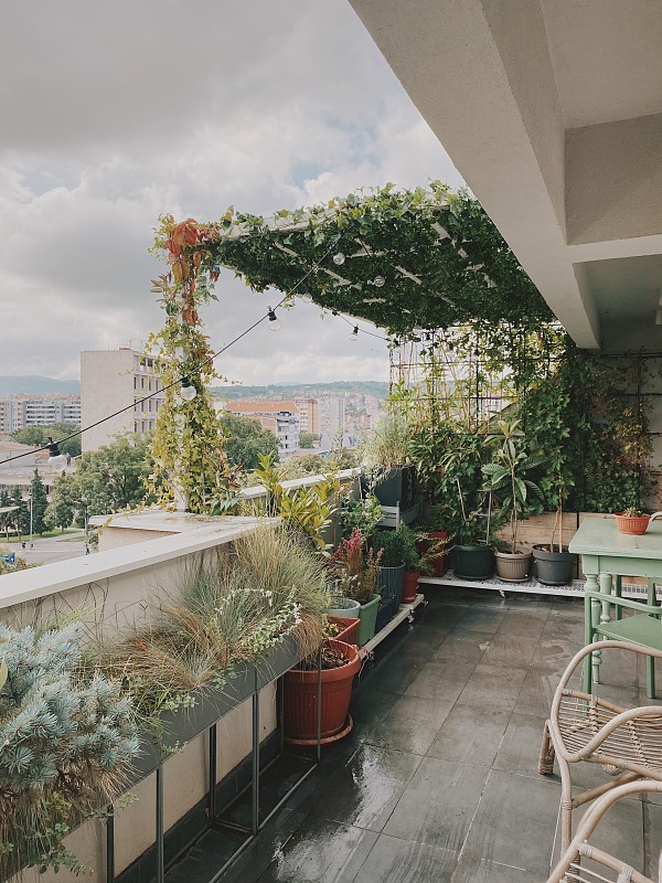 浪漫的阳台花园俯瞰城市图片素材