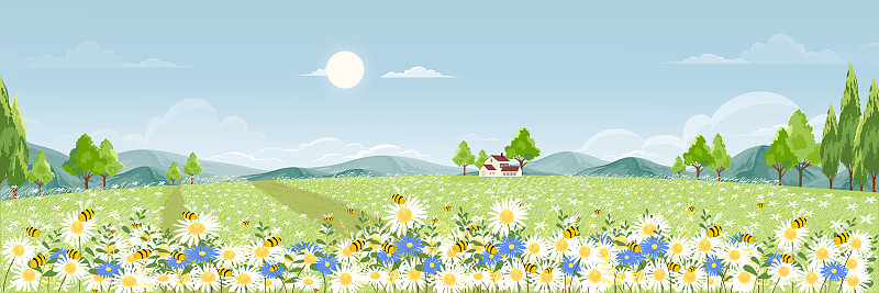 春天的田野，蓝天上飘着蓬松的云彩，可爱的卡通全景乡村景观，绿色的草地上蜜蜂在阳光明媚的夏天采集花粉，矢量背景横幅为春天图片下载
