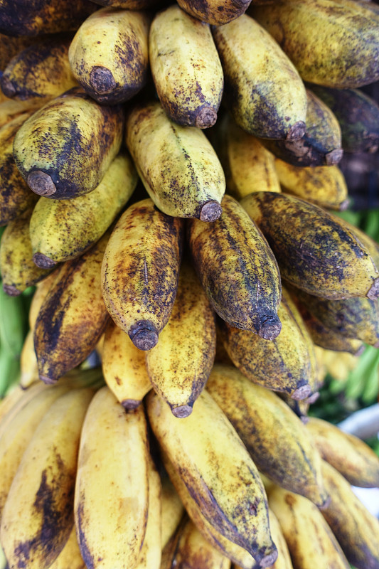 详细的黄色小香蕉与糖斑点摄影图片