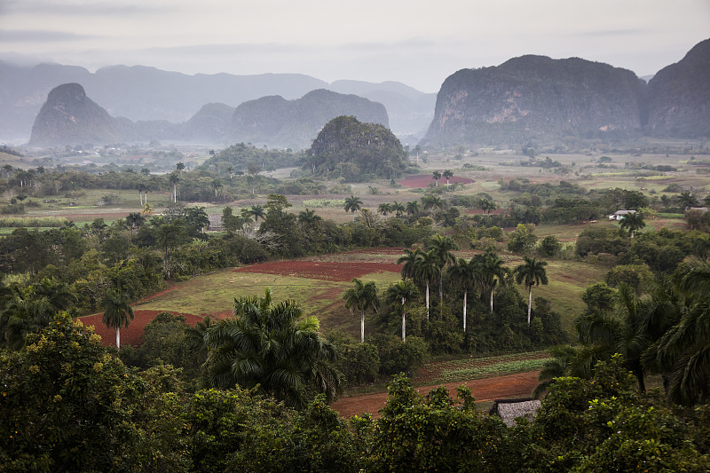 美丽的维纳莱斯山谷，棕榈树和雾。古巴令人惊叹的绿色景观摄影图片
