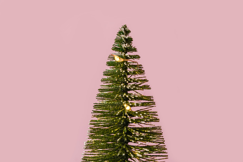 圣诞节和新年的概念。粉色和蓝色背景的圣诞树。图片下载