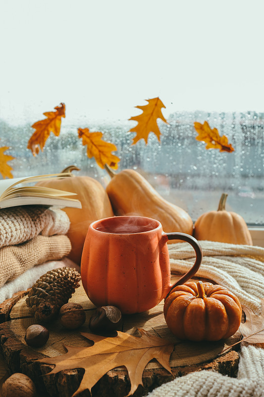 秋天窗台上的静物，一杯茶，蜡烛，南瓜，树叶，感恩的房子内部图片下载