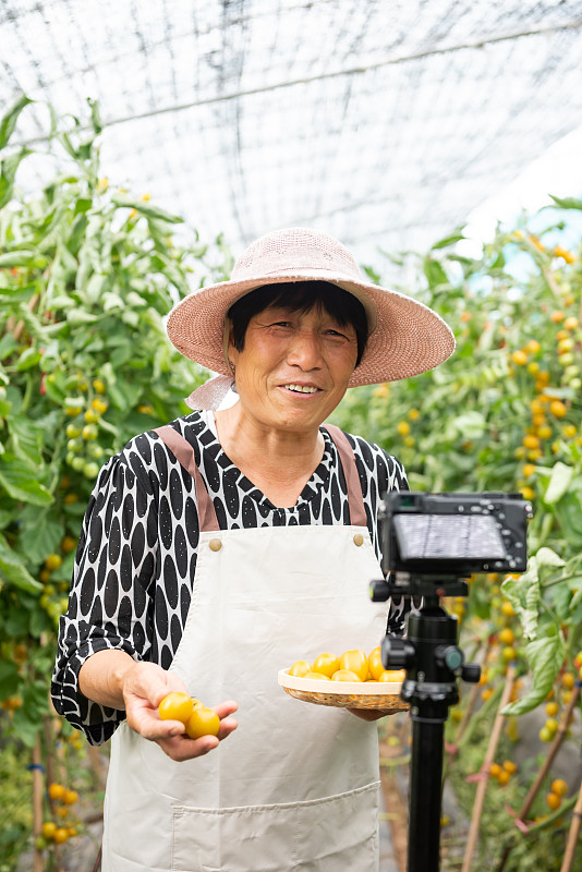 快乐的亚洲老妇人展示黄色的圣女果，在网上直播视频。具有社交媒体概念的在线市场。图片下载