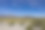 旅游目的地-死亡谷国家公园的超级花摄影图片